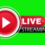 Live-stream1